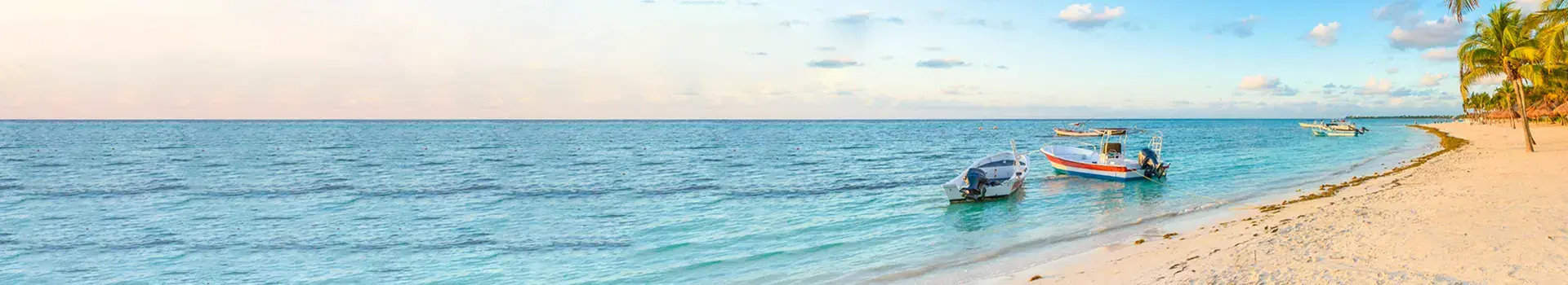 Holiday Banner